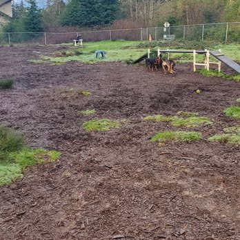 Wilder Dog Park